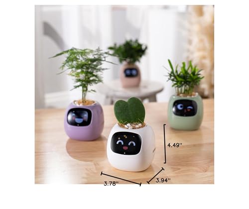 PLANTSIO Smart pet Planter Robot Guidance on Plant Care with Emojis, Adorable Plant Companion with Rich Gesture Interaction, Neat Desk Setup Gift (White) - 💙 Blu Rose's Garden LLC 💙