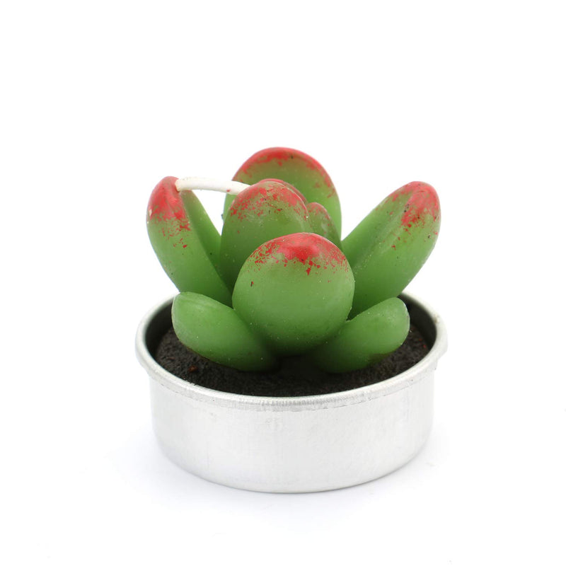 Lawei 18 Pack Cactus Tealight Candles - Handmade Delicate Succulent Mini Plants Candles - Perfect for Home Decor Candles Festival Wedding Props and House-Warming Party Lawei