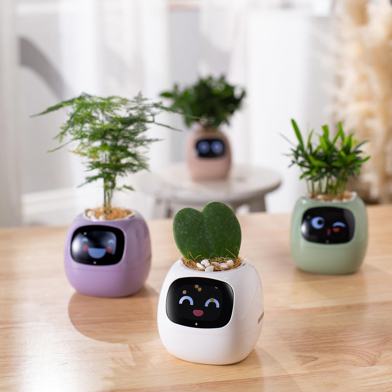 PLANTSIO Smart pet Planter Robot Guidance on Plant Care with Emojis, Adorable Plant Companion with Rich Gesture Interaction, Neat Desk Setup Gift (White) - 💙 Blu Rose's Garden LLC 💙