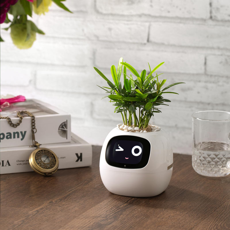 PLANTSIO Smart pet Planter Robot Guidance on Plant Care with Emojis, Adorable Plant Companion with Rich Gesture Interaction, Neat Desk Setup Gift (White) - 💙 Blu Rose's Garden LLC 💙