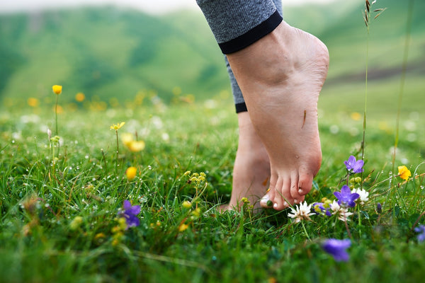 Book Now: Barefoot Walking Sessions 💙 Blu Rose's Garden LLC 💙