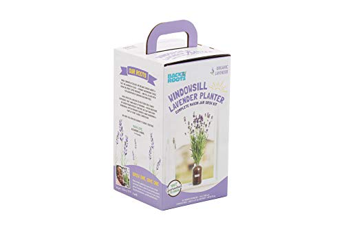 Back to the Roots Lavender Organic Windowsill Planter Kit - Grows Year Round, Includes Everything Needed for Planting