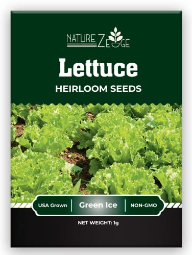 Lettuce Seeds for Planting, Red Romaine Lettuce, Bibb Butter Lettuce, Black Seeded Simpson, Green Ice Iceberg Lettuce, Non-GMO…