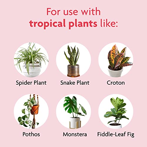 Miracle-Gro Tropical Potting Mix, 6 qt. - Growing Media for Tropical Plants Living in Indoor and Outdoor Containers