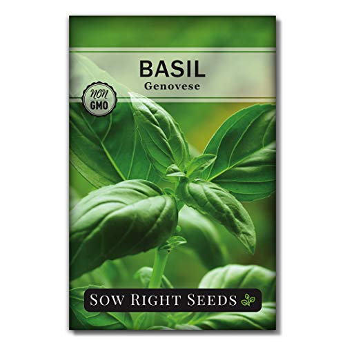 Sow Right Seeds - Italian Herb Garden Seed Collection - Individual Packets of Sweet Basil, Oregano, Parsley, Sage, and Thyme to Plant - Non GMO Heirloom with Instructions for Planting