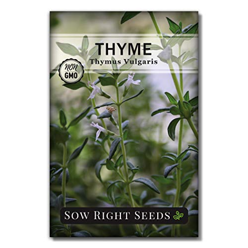 Sow Right Seeds - Italian Herb Garden Seed Collection - Individual Packets of Sweet Basil, Oregano, Parsley, Sage, and Thyme to Plant - Non GMO Heirloom with Instructions for Planting