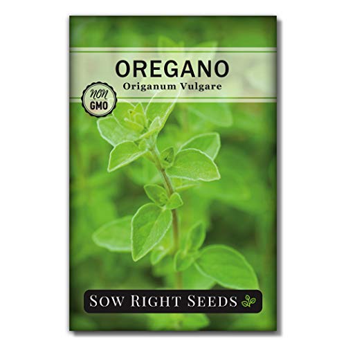 Sow Right Seeds - Italian Herb Garden Seed Collection - Individual Packets of Sweet Basil, Oregano, Parsley, Sage, and Thyme to Plant - Non GMO Heirloom with Instructions for Planting