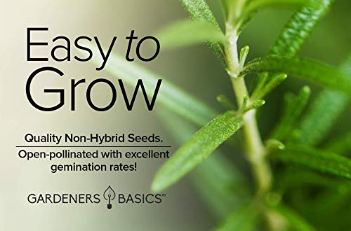 Rosemary Seeds for Planting - It is A Great Heirloom, Non-GMO Herb Variety- Great for Indoor and Outdoor Gardening by Gardeners Basics