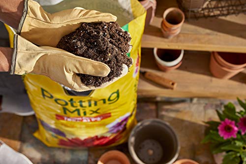 Miracle-Gro Potting Mix 2 pack