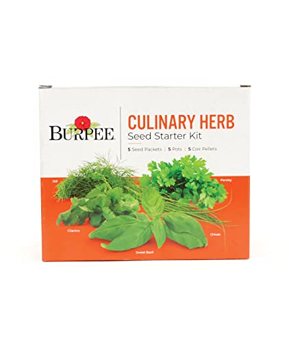 Burpee Culinary Garden Starter Kit Packets, 5 Pots, 5 Coir Pellets & 5 Plant Markers Non-GMO Herb Seeds: Cilantro, Dill, Parsley, Sweet Basil & Chives