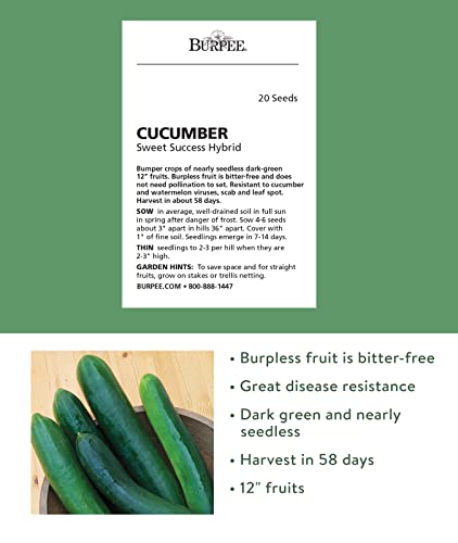 Burpee Sweet Success Slicing Cucumber Seeds 20 seeds