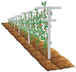 MRGARDEN 7-Feet Adjustable Garden Trellis Set for Raspberry and Climbing Plants, Outdoor Stake Vineyard Trellis, Pack of 2