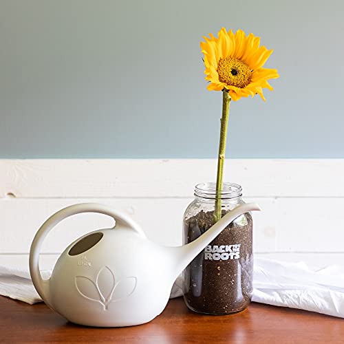 Back to the Roots Sunflower Organic Windowsill Planter Kit - Grows Year Round, Includes Everything Needed for Planting