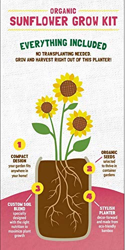 Back to the Roots Sunflower Organic Windowsill Planter Kit - Grows Year Round, Includes Everything Needed for Planting