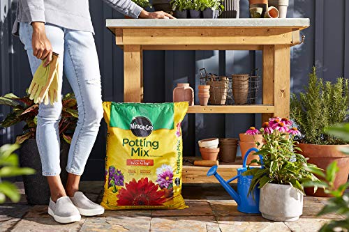 Miracle-Gro Potting Mix 1 cu. ft.