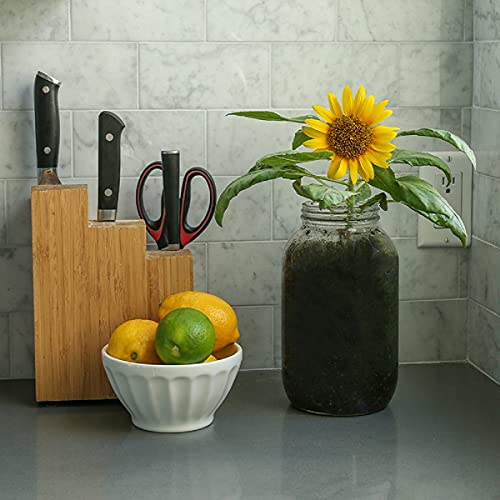 Back to the Roots Sunflower Organic Windowsill Planter Kit - Grows Year Round, Includes Everything Needed for Planting