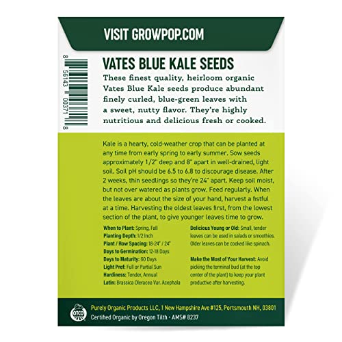 Purely Organic Products Purely Organic Heirloom Kale Seeds (Vates Blue Scotch Curled) - Approx 600 Seeds - 💙 Blu Rose's Garden LLC 💙