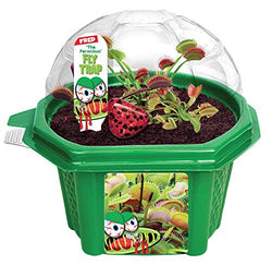 Toys By Nature Venus Fly Trap - Fun and Easy to Grow Kids Terrarium Set - Grow Bug Eating Plants - Complete Carnivorous Plant Kit