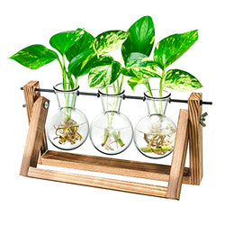 Ivolador Desktop Propagation Station, Bulb Plant Terrarium with Retro Solid Wooden Stand and Metal Swivel Holder for Hydroponics Plants Home Garden Wedding Decor (3 Bulb)