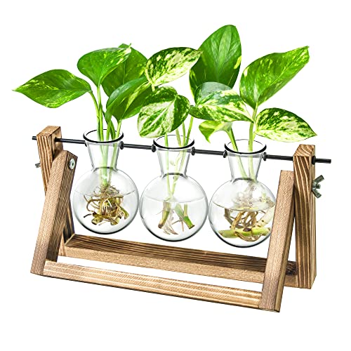 Ivolador Desktop Propagation Station, Bulb Plant Terrarium with Retro Solid Wooden Stand and Metal Swivel Holder for Hydroponics Plants Home Garden Wedding Decor (3 Bulb)