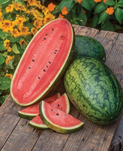 Burpee Mama's Girl Watermelon Seeds 25 seeds