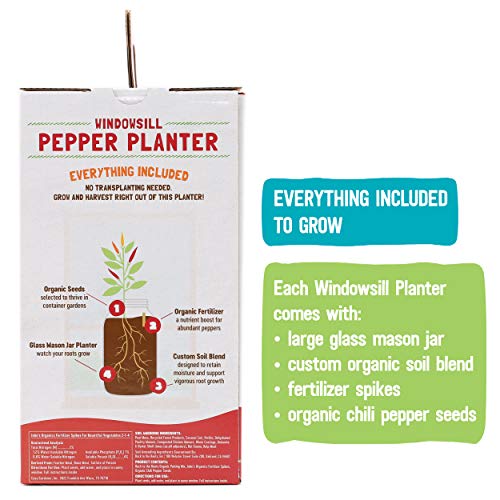 Back to the Roots Non-GMO Chili Planter, Grow Organic Chili Peppers Year Round, Windowsill Grow Kit, Top Gardening Gift, Holiday Gift, & Unique Gift