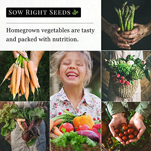 Sow Right Seeds - Tendersweet Watermelon Seeds for Planting - Non-GMO Heirloom Seeds to Plant a Home Vegetable Garden (2)