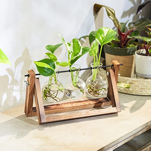 Ivolador Desktop Propagation Station, Bulb Plant Terrarium with Retro Solid Wooden Stand and Metal Swivel Holder for Hydroponics Plants Home Garden Wedding Decor (3 Bulb) - 💙 Blu Rose's Garden LLC 💙