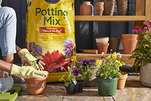 Miracle-Gro Potting Mix 2 pack