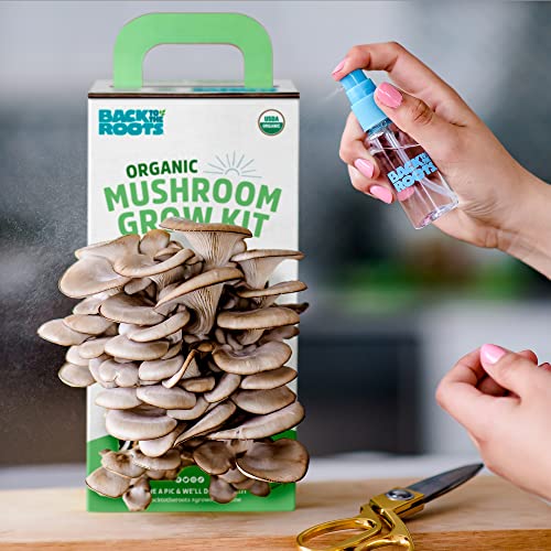 Back to the Roots Organic Oyster Mushroom Grow Kit, Harvest Gourmet Mushrooms In 10 Days