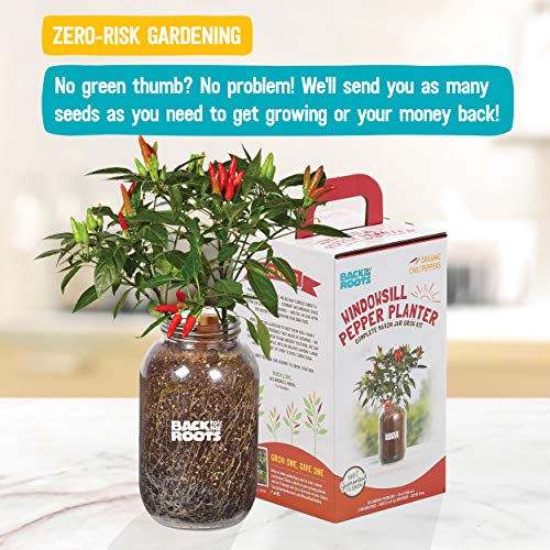 Back to the Roots Non-GMO Chili Planter, Grow Organic Chili Peppers Year Round, Windowsill Grow Kit, Top Gardening Gift, Holiday Gift, & Unique Gift