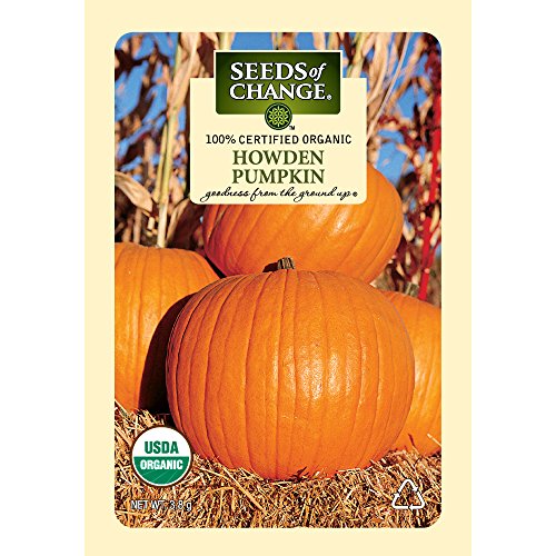 Seeds of Change Certified Organic Howden Pumpkin