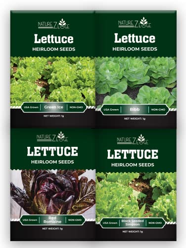 Lettuce Seeds for Planting, Red Romaine Lettuce, Bibb Butter Lettuce, Black Seeded Simpson, Green Ice Iceberg Lettuce, Non-GMO…