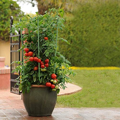 ZJIA 3 Pack Tomato Cages 18 inch Plant Support Cages Trellis for Garden, Cucumber Trellis Plant Stake with Adjustable Rings for Vegetables Flowers Fruit