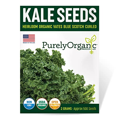 Purely Organic Products Purely Organic Heirloom Kale Seeds (Vates Blue Scotch Curled) - Approx 600 Seeds - 💙 Blu Rose's Garden LLC 💙