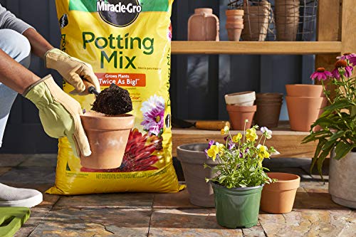 Miracle-Gro Potting Mix 2 pack