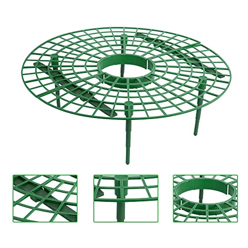 Iceyyyy 10 Pack Strawberry Plant Support Strawberry Growing Racks/ Frame (10, A)