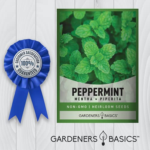 Peppermint Seeds for Planting is A Heirloom, Open-Pollinated, Non-GMO Herb Variety- Great for Indoor and Outdoor Gardening and Herbal Tea Gardens by Gardeners Basics - 💙 Blu Rose's Garden LLC 💙