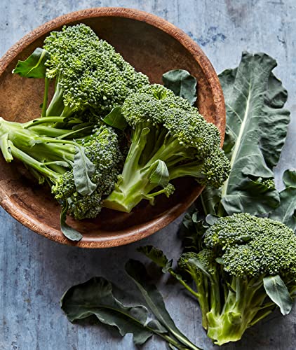 Burpee Sun King Broccoli Seeds 400 seeds