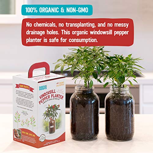 Back to the Roots Non-GMO Chili Planter, Grow Organic Chili Peppers Year Round, Windowsill Grow Kit, Top Gardening Gift, Holiday Gift, & Unique Gift