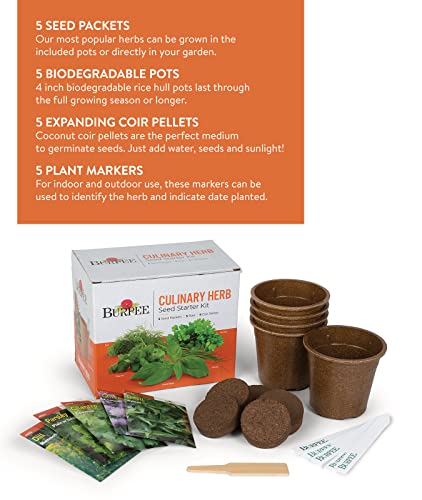 Burpee Culinary Garden Starter Kit Packets, 5 Pots, 5 Coir Pellets & 5 Plant Markers Non-GMO Herb Seeds: Cilantro, Dill, Parsley, Sweet Basil & Chives