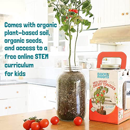 Back to the Roots Cherry Tomato Organic Windowsill Planter Kit - Grows Year Round, Includes Everything Needed For Planting