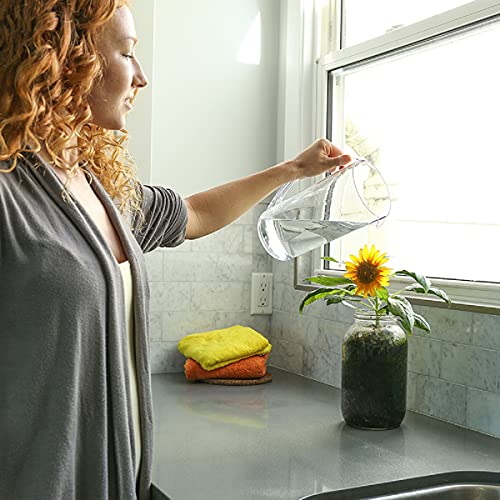 Back to the Roots Sunflower Organic Windowsill Planter Kit - Grows Year Round, Includes Everything Needed for Planting