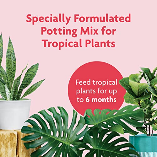 Miracle-Gro Tropical Potting Mix, 6 qt. - Growing Media for Tropical Plants Living in Indoor and Outdoor Containers