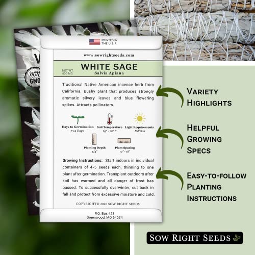 Sow Right Seeds - White Sage Seed to Plant - Non-GMO Heirloom Seeds - Full Instructions for Planting and Growing, Indoors or Outdoor; Great Gardening Gift (1)