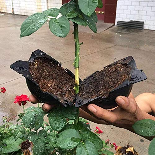 10 PCS Plant Rooting Ball Reusable Plant Rooting Device High Pressure Propagation Ball High Pressure Box Grafting for Various Plants