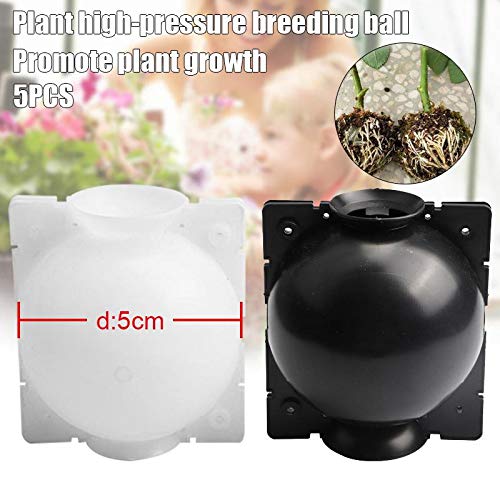 10 PCS Plant Rooting Ball Reusable Plant Rooting Device High Pressure Propagation Ball High Pressure Box Grafting for Various Plants