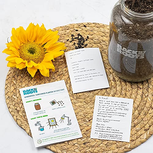 Back to the Roots Sunflower Organic Windowsill Planter Kit - Grows Year Round, Includes Everything Needed for Planting