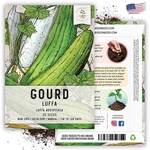 Seed Needs, Loofah/Luffa Gourd Seeds for Planting (Luffa aegyptiaca) Heirloom, Non-GMO & Untreated - Grow Your Own Sponges (1 Pack)