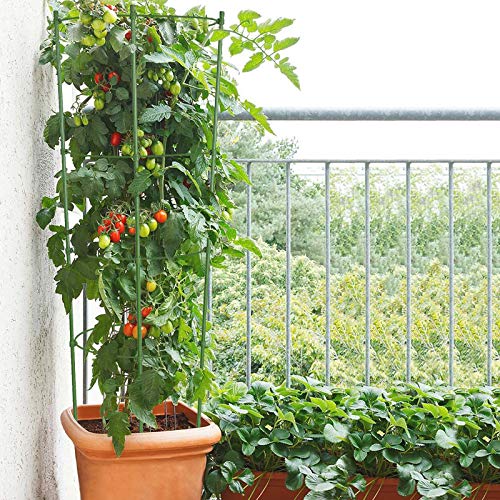 ZJIA 3 Pack Tomato Cages 18 inch Plant Support Cages Trellis for Garden, Cucumber Trellis Plant Stake with Adjustable Rings for Vegetables Flowers Fruit